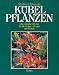 Produktbild Kübelpflanzen. Südländische Gehölze für die Kultur in Töpfen und Kübeln