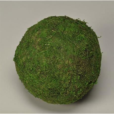 Natural Moss Ball Aquatic Aquarium Decoration