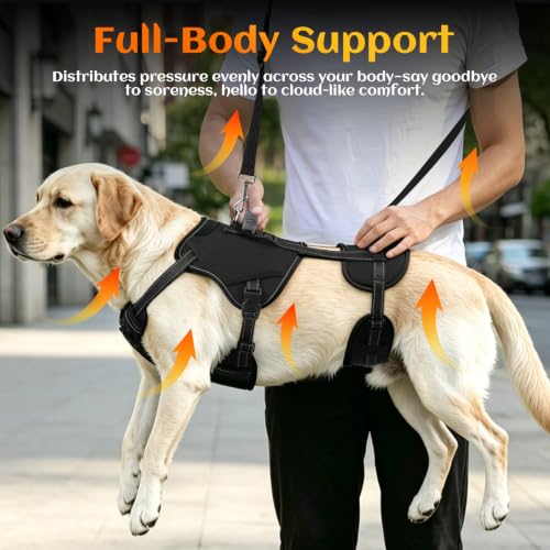 Image of NOYAL Dog Lift Harness, 2-in-1 Support Sling for Senior & Injured Dogs