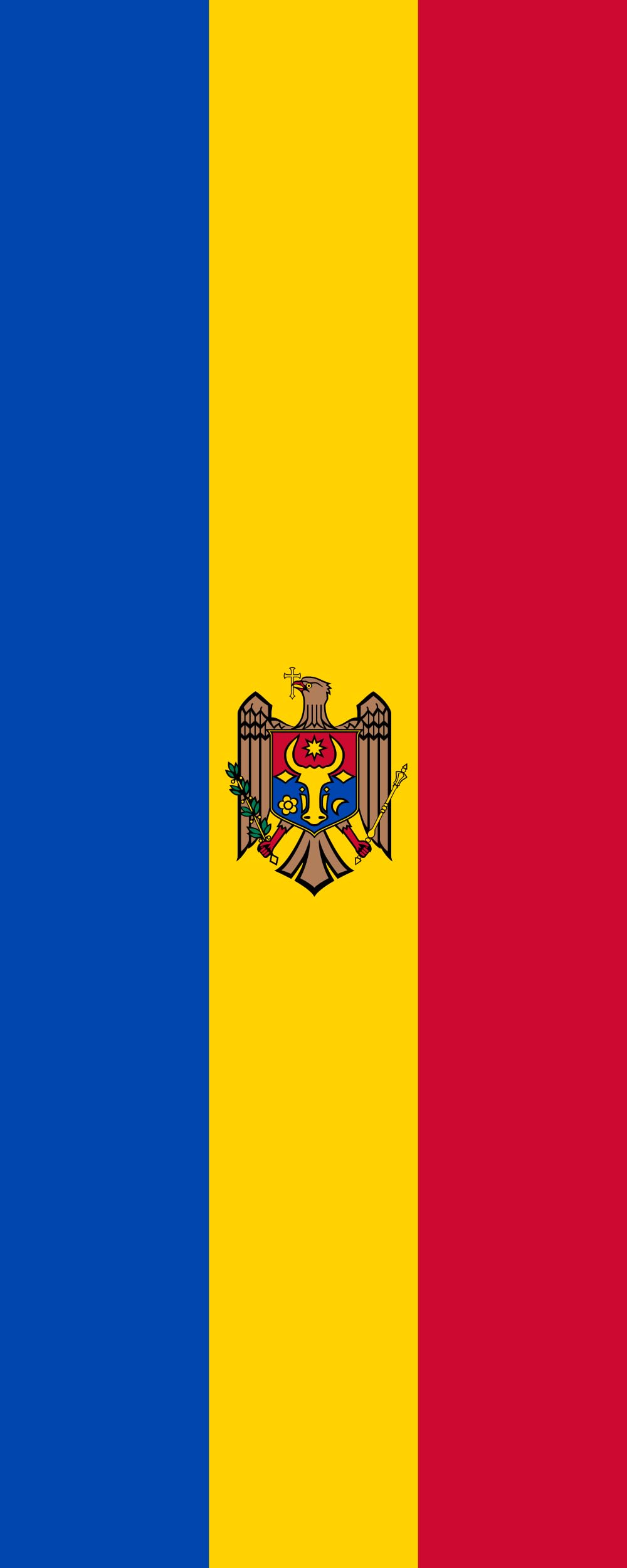 Drapeau Moldavie de prestige 3.5m² finition supérieure