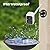 NETVUE by Birdfy Upgraded Smart Bird Feeder Camera, Solar Powered, Auto Bird Video Capture, Instant Notifications, AI Identify 6000+ Species