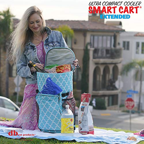 dbest products Mochila térmica ultra compacta para carrinho inteligente, bolsa de praia, piquenique,