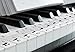 56 Piano Stickers Notes for Keyboard and Piano Music Practice Tools for Musicians and Pianists