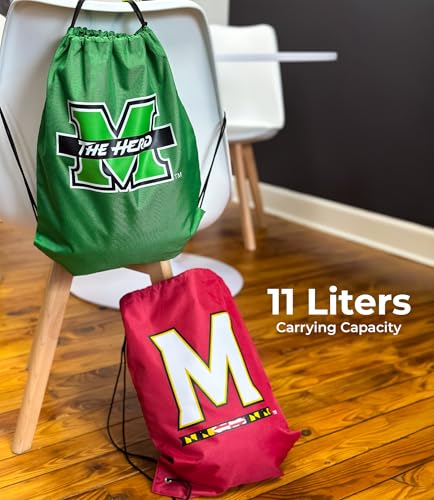 R and R Imports #24 William Byron NASCAR Cinch Bag2