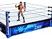 WWE SMACKDOWN LIVE MAIN EVENT RING