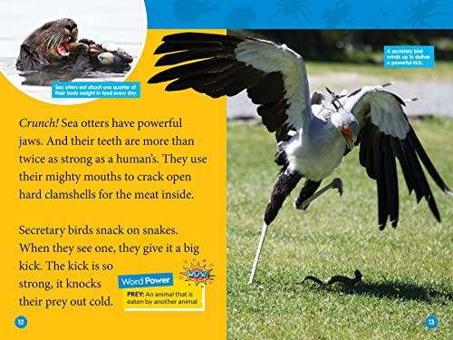 Animal Superpowers (National Geographic Kids Readers, Level 2) - Image 3