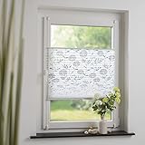 DECOLIA Klemmfix-Plissee verspannt, ohne Bohren oder Schrauben mit ausgebranntem Blumenmotiv, Breite/Höhe: 120 x 130 cm, Farbe: weiß