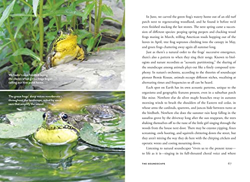 Wildscape: Trilling Chipmunks, Beckoning Blooms, Salty Butterflies, and other Sensory Wonders of Nature (-) - Image 7