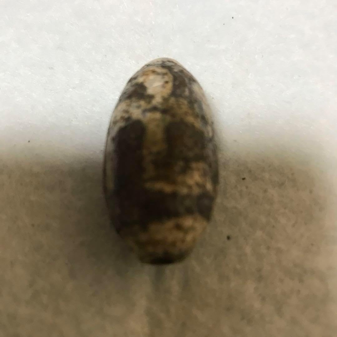 中古木製黒塗 螺鈿細工 青貝 八卦盆 中古木製黒塗 螺鈿細工 青貝 八卦