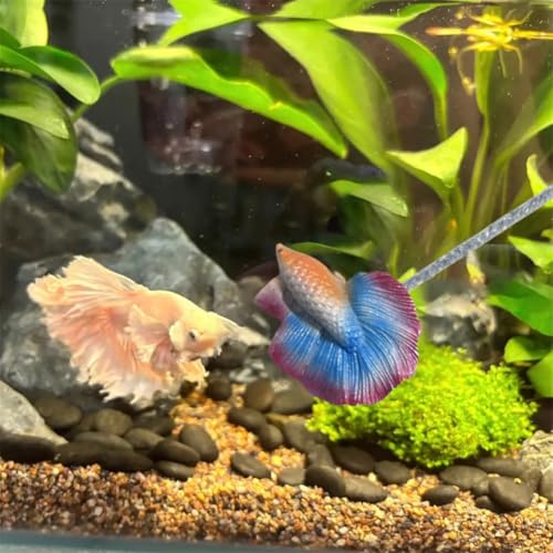 Image of Interactive Betta Fish Flare Stick Toy for Tanks - Simulated Betta Training Teasing Toy for Color Grow and Good Behavior