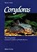 Corydoras - The Most Popular Armored Catfishes of South America