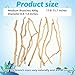 Hamiledyi Natural Driftwood for Aquarium Decor - Red Moor Wood 10