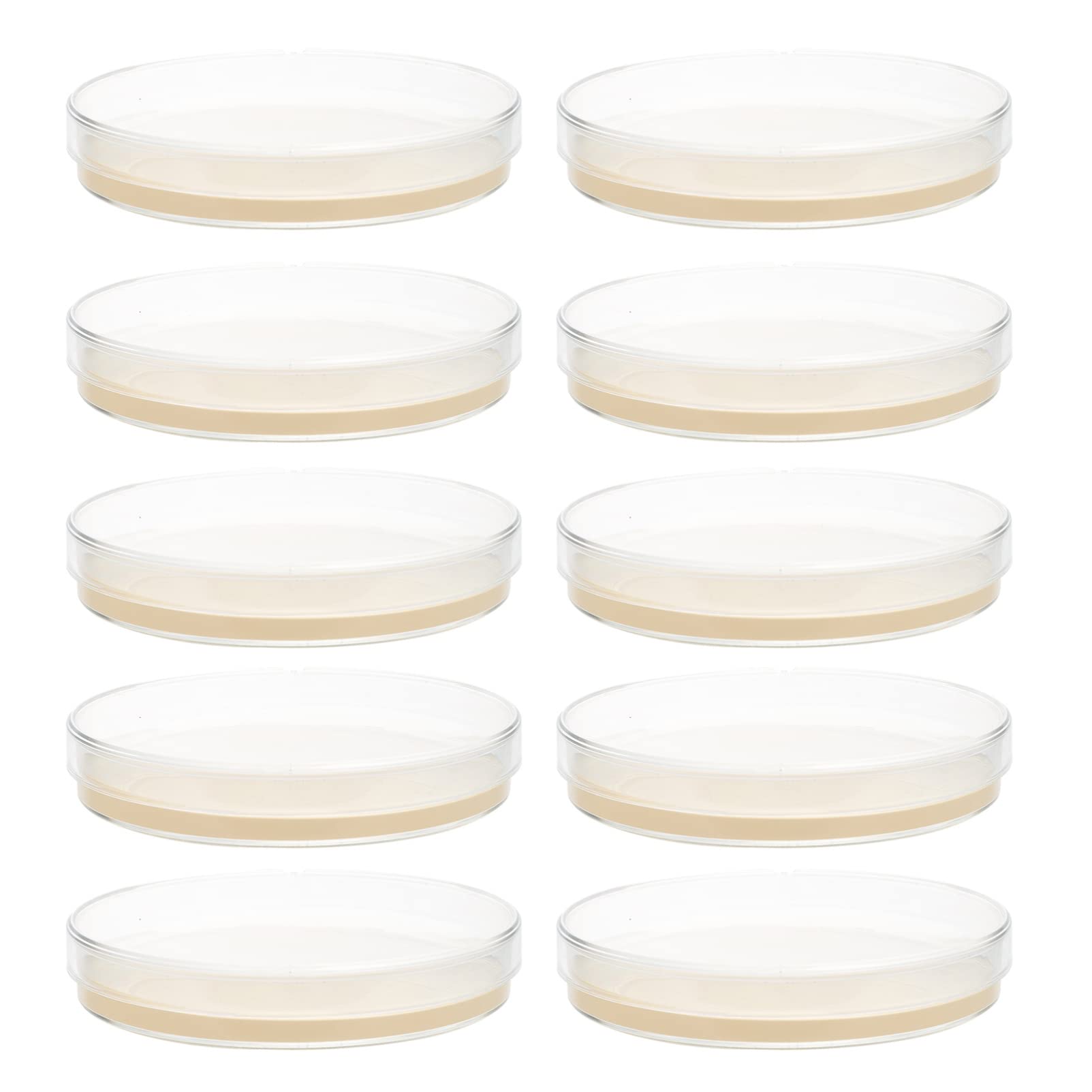 Buy VILLCASE Agar 10PCS ent Agar Plate, 9cm Laboratory Agar Plates Pre