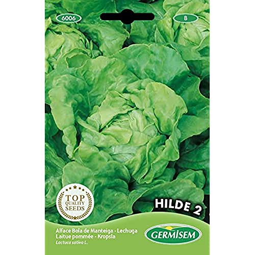 Germisem Hilde 2 Semillas de Lechuga 4 g, EC6006