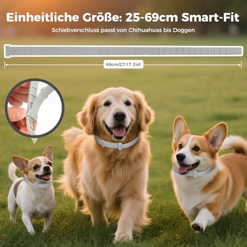 Zeckenhalsband für Hunde 69cm, Wasserdicht & Verstellbar Zeckenschutz Hund Verhindert Leishmaniose-Übertragung, 8 Monate Schutz Grau
