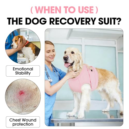 Image of BRKURLEG Dog Chest Recovery Suit After Surgery, Pink XL