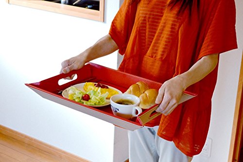 ピク　トレー Amazon｜メテックス EXELUX(エグゼラックス) フリーフォーム