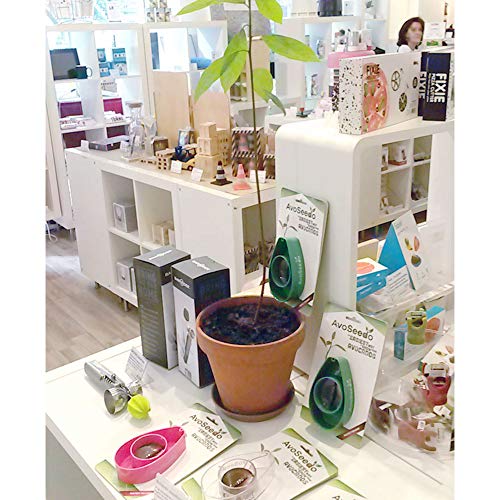 Avoseedo Avocado Tree Growing Kit, Clear, Practical Gifts For Women, Mom, Sister & Best Friend, Plant Indoors With Novelty Pit Grower Boat & Kitchen Garden Seed Starter #TOP3