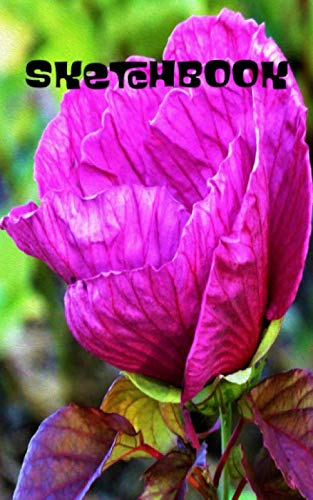 How to draw a rose bush step by step How to draw a rose bush step by step