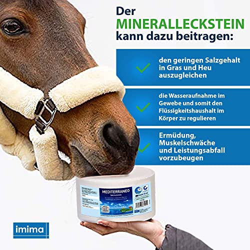 Foto von imima Mineralleckstein Pferd MEDITERRANEO Salzleckstein Set 4 x 3kg - Salzlecksteine für Pferde, Schafe, Ziegen, Wild und Rind - Salz Leckstein Mineralstein