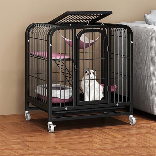 Cage pour chat d'intérieur mobile avec plateau amovible pour salon harmonieux