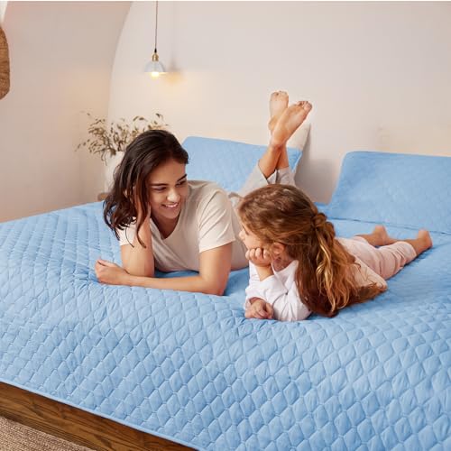 Exclusivo Mezcla Reversible Twin Quilt Bedding Set with Pillow Sham, Lightweight Quilts Twin Size, Soft Bedspreads Bed Coverlets for All Seasons - (Sky Blue, 68"x88")