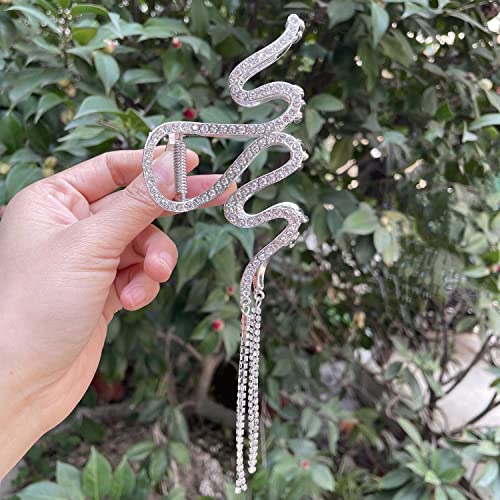 Clataly Snake-shaped Tassel Grab Clip Big Hair Clips Shark Clip Cute Animal Shape Hairpin Hair Accessories for Women and Girls (Silver) - Image 2