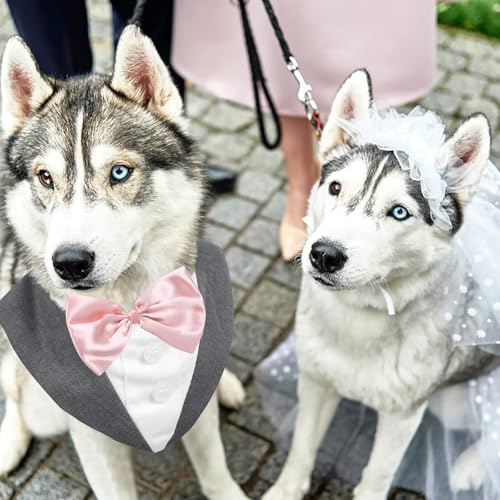 AOFITEE Hund Smoking Hund Anzug & Bandana Set, Hunde Hochzeit Party Suit Hundefliege Shirt Vest, Haustier Anzug Kostüm Hunde Kleidung mit Abnehmbarer Fliege für Halloween, Christmas,M