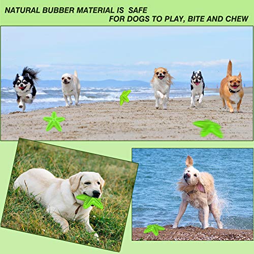 Image of Squeaky Dog Toys - Starfish Natural Teeth Cleaning Toy for Small & Medium Dogs (Green)
