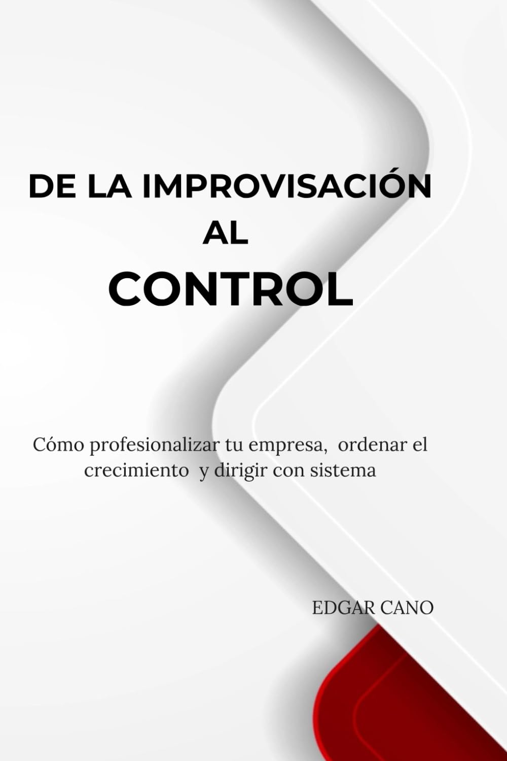 DE LA IMPROVISACIÓN AL CONTROL: Cómo profesionalizar tu empresa, ordenar el crecimiento y dirigir con sistema (Colección Dirección Estratégica y Sistemas de Gestión)