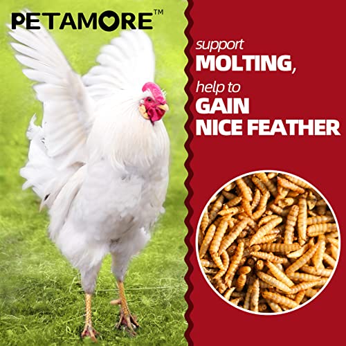 petamore 5lbs Bulk Protein Treats Alternative to Dried Mealworms for Chickens Non-GMO Dried Black Soldier Fly Larvae for… - Image 4