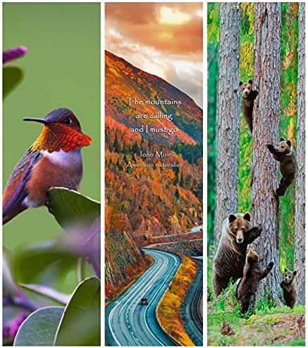 3D Bookmarks Grizzly Bear Family, Rufous Hummingbird, Turnagain Arm - 3 3D Lenticular Bookmarks with Cloth Tassel
