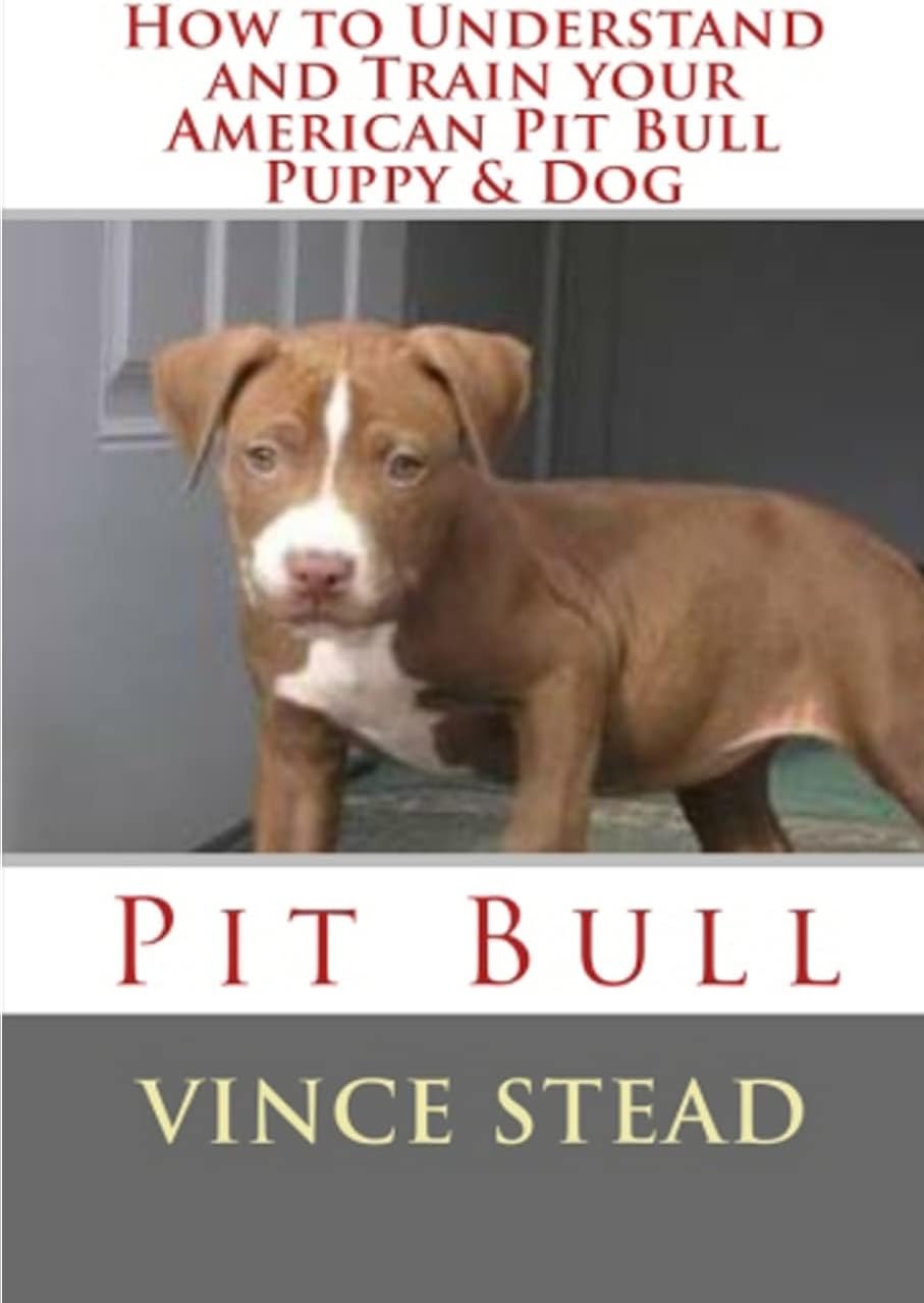 How to Understand and Train your American Pit Bull Puppy & Dog
