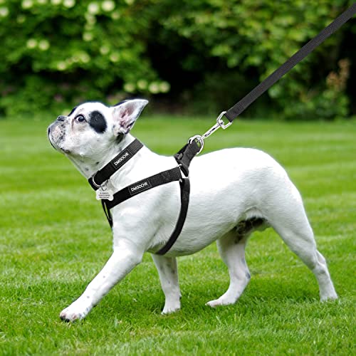 No Pull Dog Harness, Leash & Collar Set, Adjustable Step-in Vest | Dog Harness Set for Walking Training Hiking, Adjustable Fit for Small Medium Large Dogs - Image 6