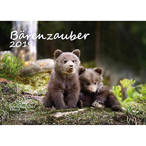 Télécharger Seelenzauber Calendrier 2019 « Bärenzauber » – Format DIN A4 – Ours – Forêt – Nature Francais PDF