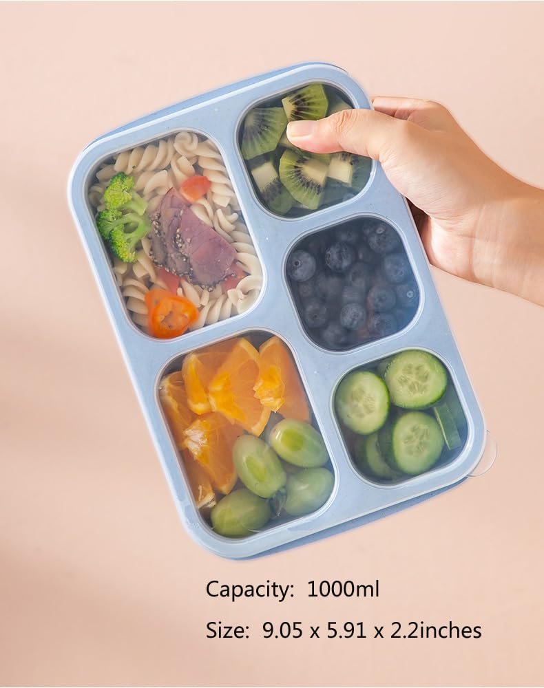 Hushtong Snack Box Containers for Adults?4 Pack Bento Lunch Box for Adult & Kids, 5 Compartment Adult Lunchable Containers with Utensils & Transparent Lids(Wheat)