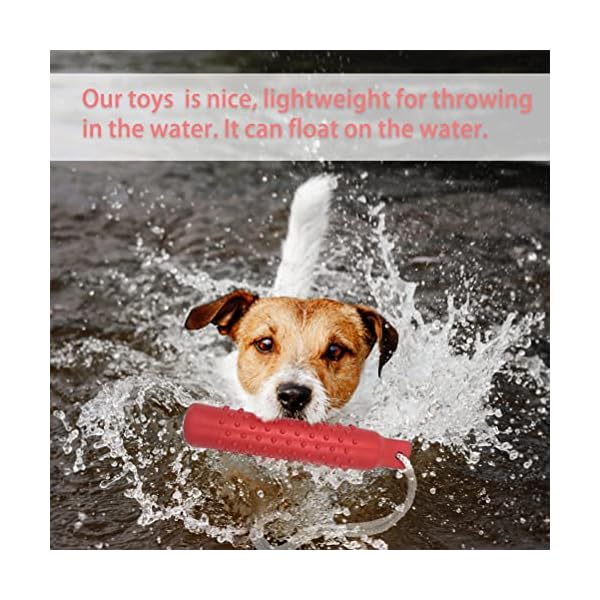 BINGPET-Dog-Float-Bumper-Toy-102-Inch-Large-Training-Dummy-Retrieving-Bumpers-Summer-Pool-Toy-Tug-Game-for-Large-XL-Dogs-Retriever BINGPET Dog Float Bumper Toy - Perfect Water Toy for Dogs