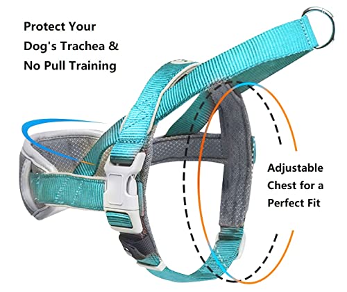 Coolsnail Dog Harness No Pull,Dog Walking Harness With Soft Chest Padded,Escape Proof/Quick Fit Reflective Pet Vest Harness,Easy Control For Outdoor Walking And Training Dogs Green #TOP1
