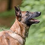 Sprenger Hundehalskette mit Durchzugskette 3mm I Edelstahl rostfreie Hundehalsband für kurz- und langhaar Hunderassen bis 55 kg, Silber (45 cm)