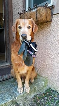 bark brite dog boots