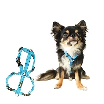 犬用ハーネス PERROS - 胸が厚く丸い犬のXハーネス XS(XH10/L) 犬用ハーネス PERROS｜Xイクスハーネス｜胸が厚く丸い犬用