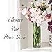 CYS Excel Clear Glass Cylinder Vase (H:16