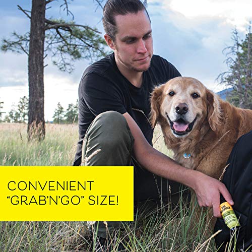 Dog Whisperer Tick + Flea Repellent, All-Natural, Extra Strength, Effective on Dogs and Their People (4 Ounce Spray) - Image 3