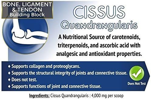 Cissus Quadralangularis 2.5% Ketosterone Extract - 1 Lb. Supports Healthy Joints and Bones, All Natural, GMO Free