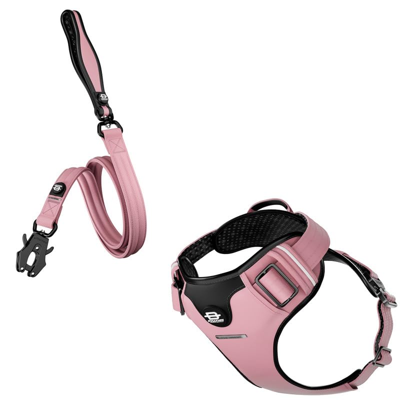 Bullyion ® Original Equipment Hygge Harness & All Action DUAL SWIVEL LEAD – Softcell Padding, Adjustable Fit – Durable Lead – Anti Tangle - Lockforce Metal Buckle & Clasp (COTTAGE PINK - Size B)