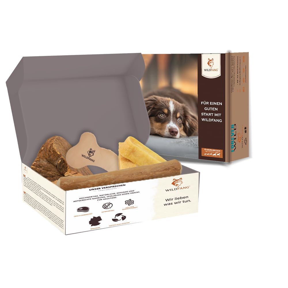 Wildfang® Compagnon de Bienvenue Coffret Cadeau de Jouets à Mâcher – Jouet Chien pour Petits Chiens Os à Mâcher pour Chien Friandise Chien Fromage Dur Racine Bruyère à Mâcher Cuir et Bois de Caféier