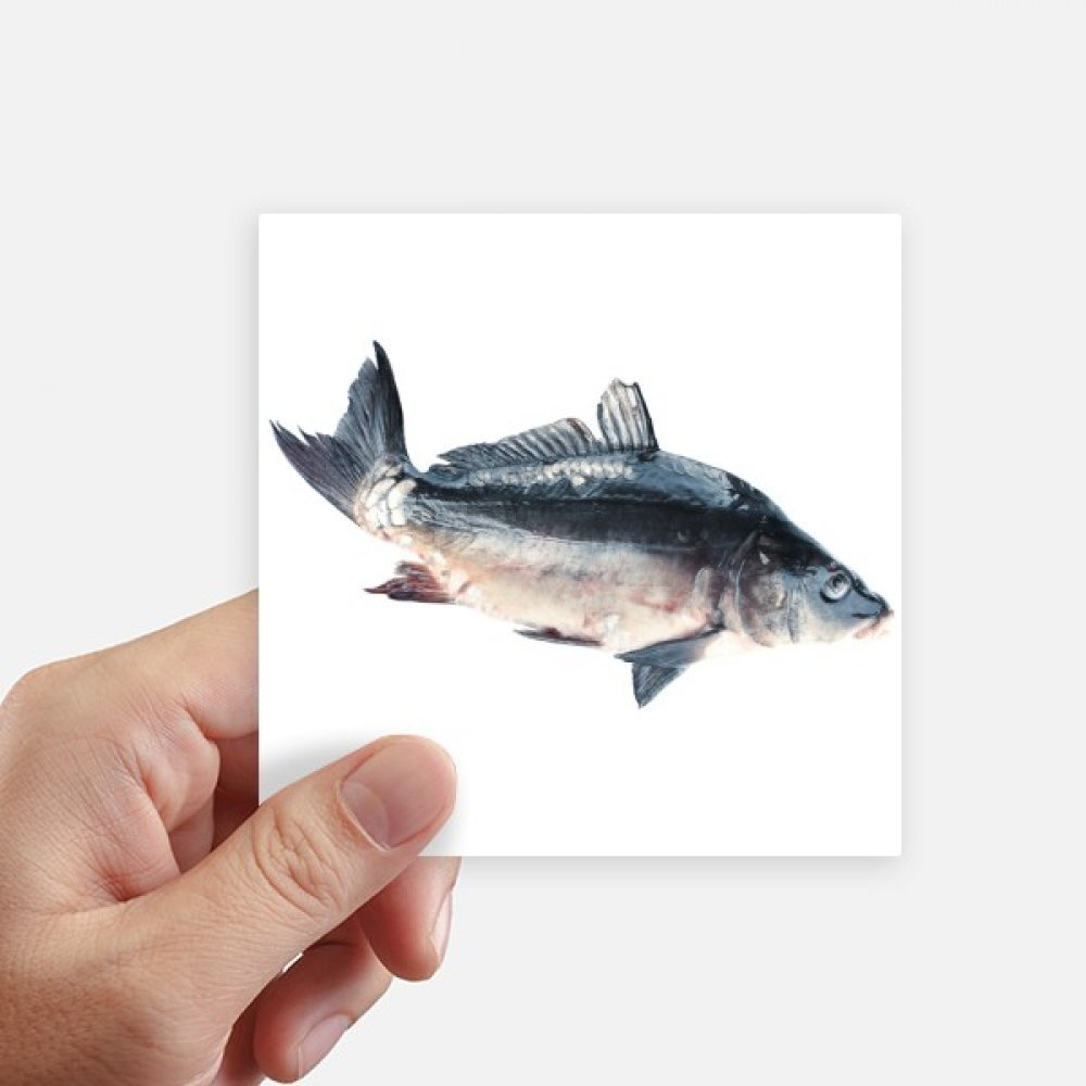 Autocollant poisson océan pour personnaliser votre valise, moto et pc portable