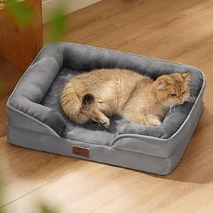 Bedsure Orthopedic Dog Beds for Extra Small Dogs- Washable Dog Cat Bed Waterproof, Comfort Pet Couch Sofa with Washable Removable Cover, Pets Bed with Nonskid Bottom, Grey, 20″