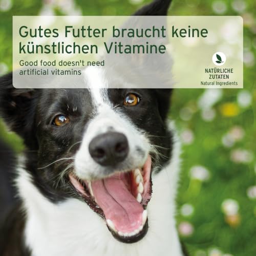 AniForte Hundefutter Nass Pferd Pur 6 x 800g - Naturprodukt für Hunde, Fleisch pur Nassfutter, getreidefrei & glutenfrei, Single Protein Futter