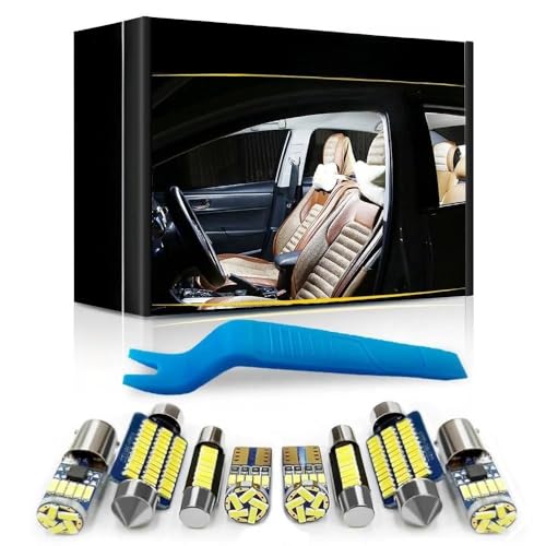 Decorazioni Di Halloween A Forma Di Scheletro, Halloween Skull Ou